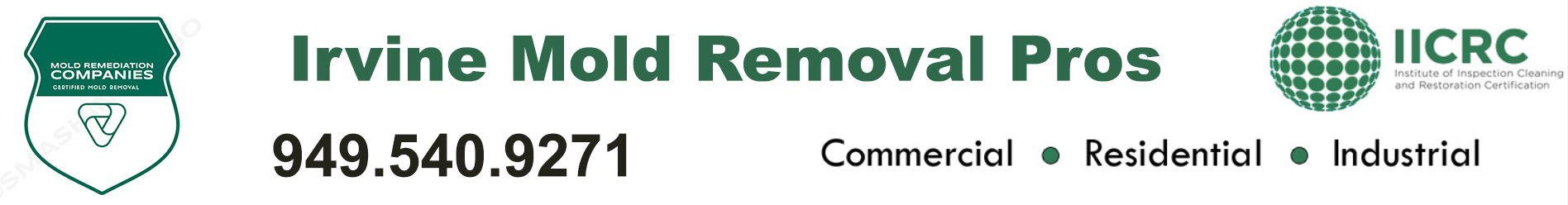 Irvine Mold Removal Pros
