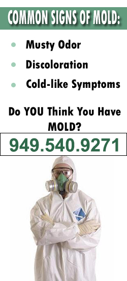 Irvine Mold Remediation Contractor
